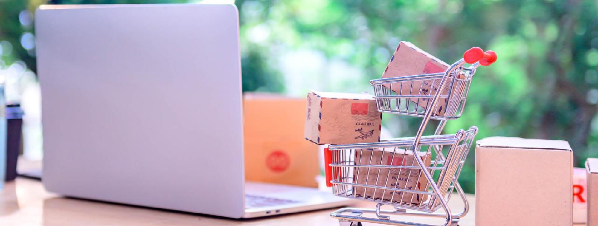 EC Shopping will start in the early 2021